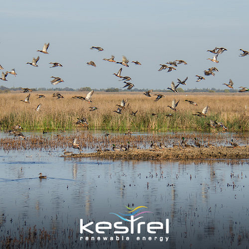 South Africa’s Wetlands: Why Wetlands are Important