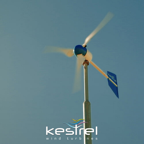 The Future Lies in Using Renewable Energy