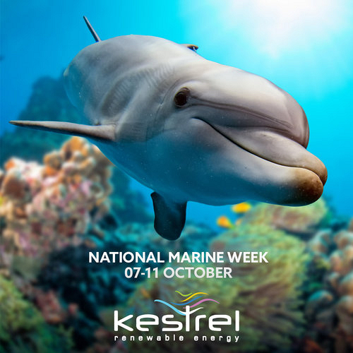 6 Ways you Can Get Involved this Marine Week