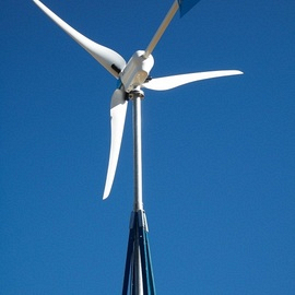 Image1
