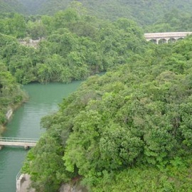 THE TAI TAM RESERVOIR PROJECT (1)